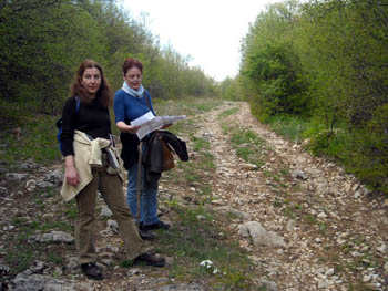 Aleksandra Bajic, Aleksandra Marinkovic Obrovski